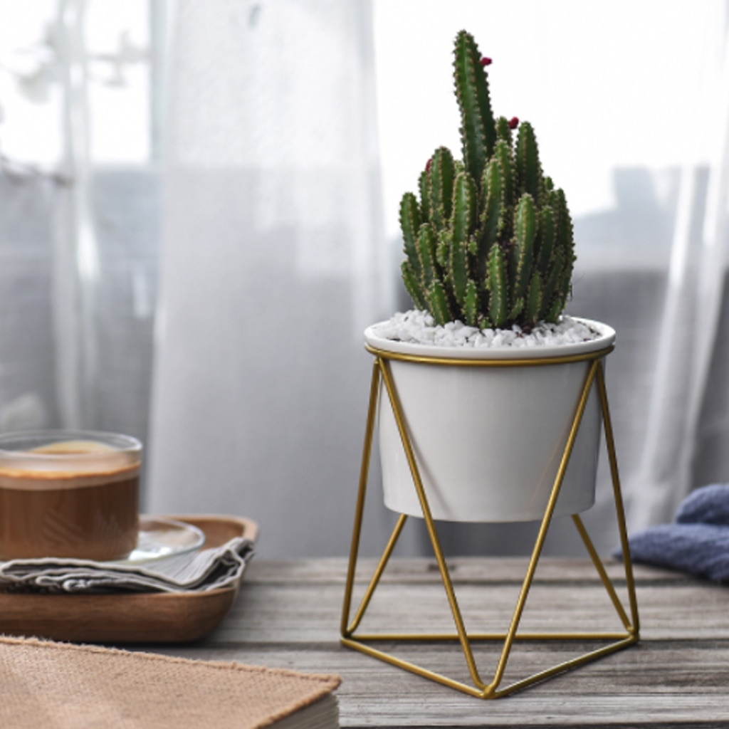 Geometric Design Plant Pot Geometric Design Plant Pot