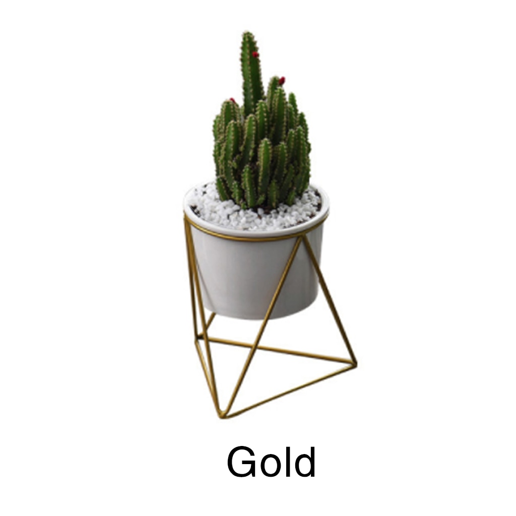 Geometric Design Plant Pot Geometric Design Plant Pot