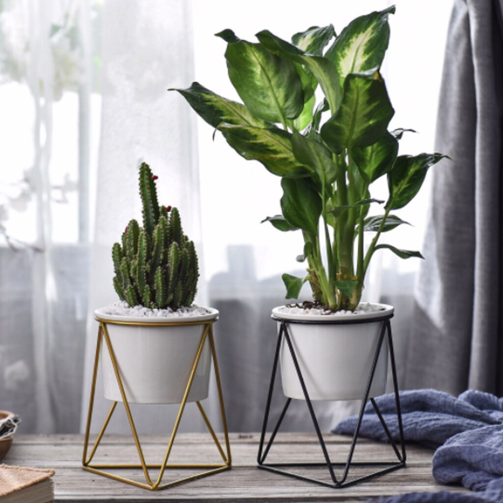 Geometric Design Plant Pot Geometric Design Plant Pot