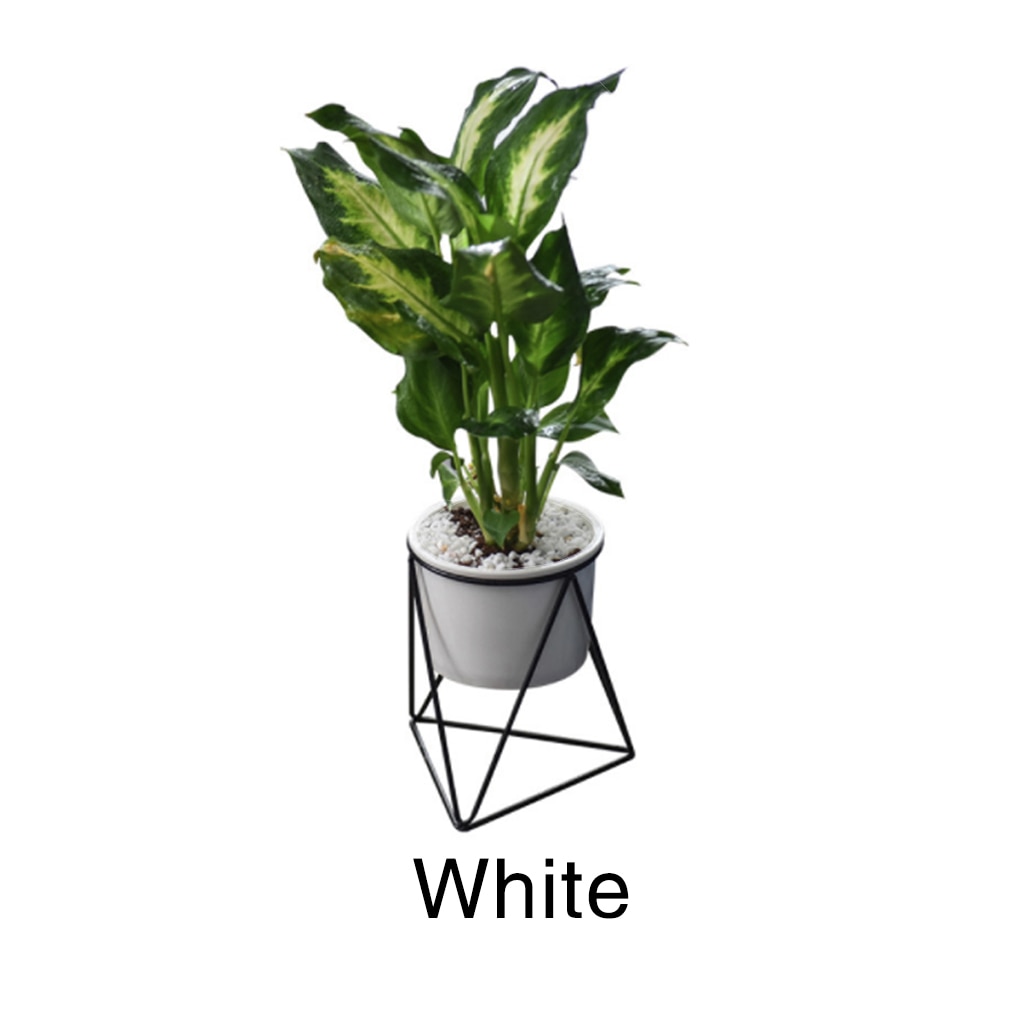 Geometric Design Plant Pot Geometric Design Plant Pot