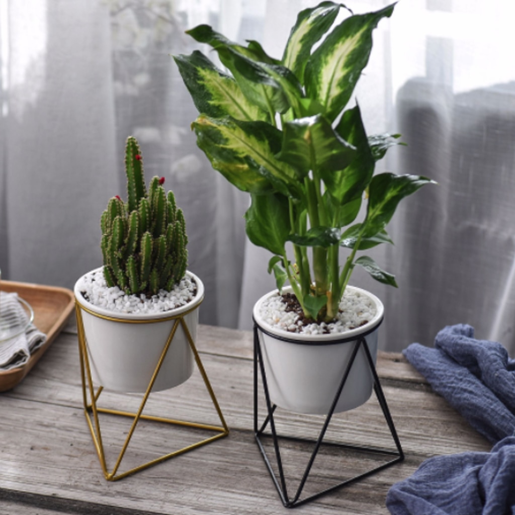 Geometric Design Plant Pot Geometric Design Plant Pot